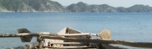 boat on a beach